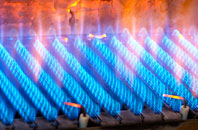 Cwm Llinau gas fired boilers
